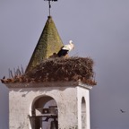 2018-03 Extremadura-0007.JPG