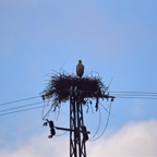 2018-03 Extremadura-0769.JPG