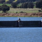 2018-03 Extremadura-0948.JPG