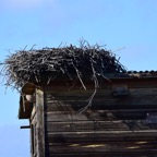 2018-03 Extremadura-0980.JPG