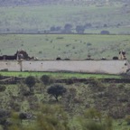 2018-03 Extremadura-1052.JPG