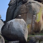 2018-03 Extremadura-1234.JPG