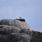 2018-03 Extremadura-1236.JPG