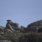 2018-03 Extremadura-1239.JPG