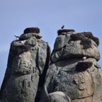 2018-03 Extremadura-1270.JPG