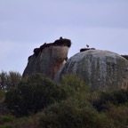 2018-03 Extremadura-1277.JPG