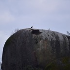 2018-03 Extremadura-1278.JPG