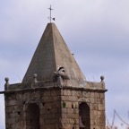 2018-03 Extremadura-1305.JPG