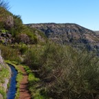 Madeira 2014-02-377.JPG