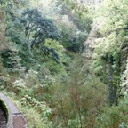 Madeira 2014-02-544.JPG