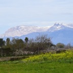 Mallorca 2015-03-118.JPG