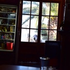 Mallorca 2015-03-182.JPG