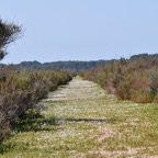 Mallorca 2015-03-356.JPG