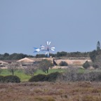 Mallorca 2015-03-358.JPG